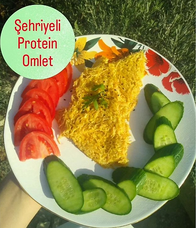 Ekran Alıntısı 2.PNG