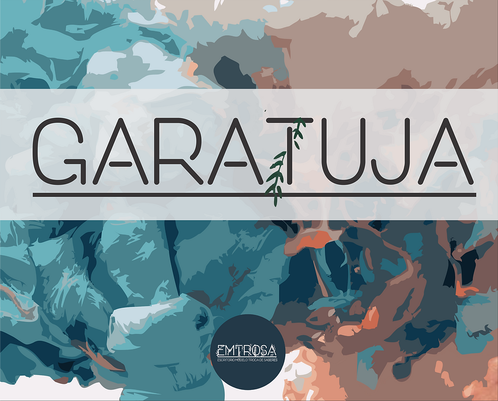 garatuja 03