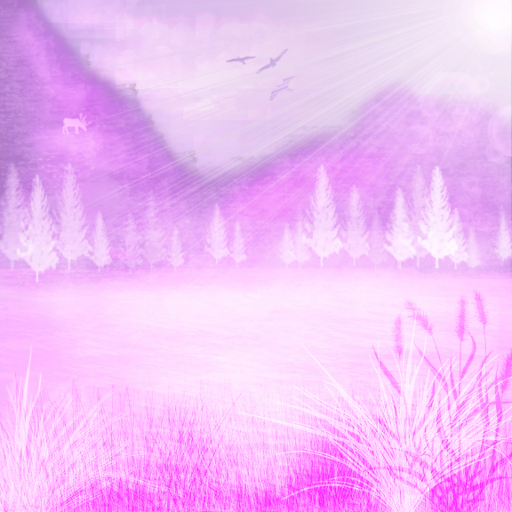 Landscape.png