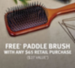 Paddle_Brush_Email_Banner (1).jpg
