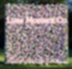 Flower wall 4-D