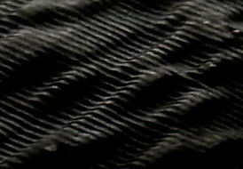 IMG_5731.jpeg
