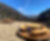 S__31416326_edited.png