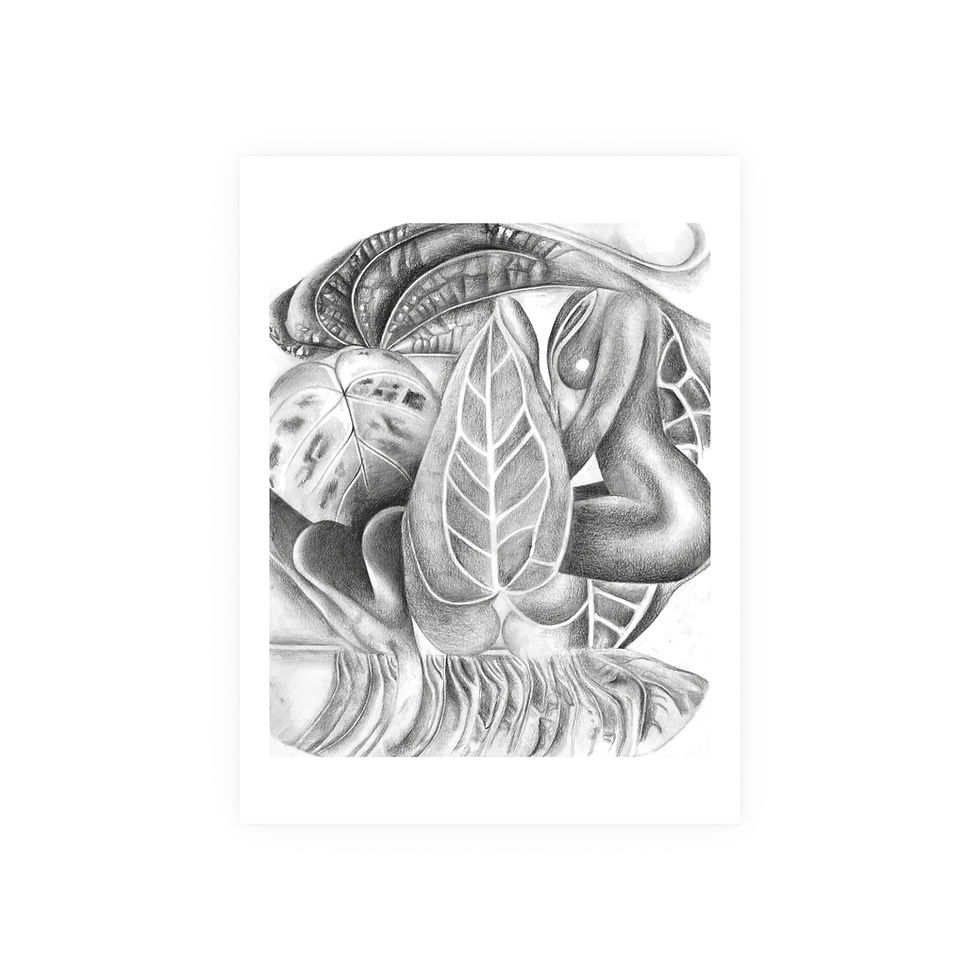 Thumbnail: Family Tree: Séduction D’Anthurium