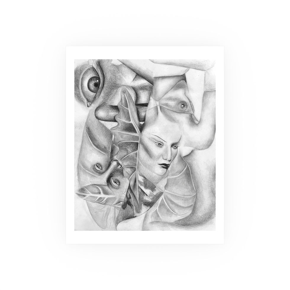 Thumbnail: Family Tree: Alocasia Reverie