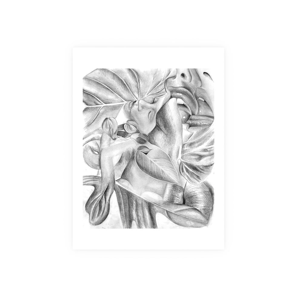 Thumbnail: Family Tree: Philodendron Allure