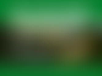 Roof Maintenance Services by Skokie Smart Roofing in Skokie IL