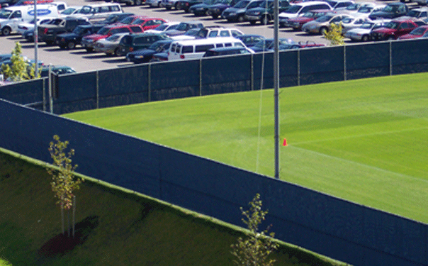 Baseball Backstop