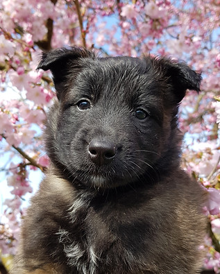 20190401_112956.jpg