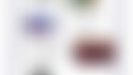 Calendario Roller Agosto 2019