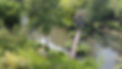 DJI_0111.JPG