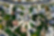 aerial-view-of-house-village-2255938.jpg