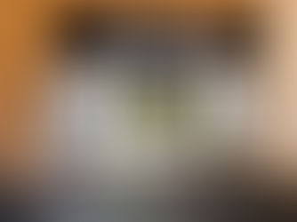 비스트 팬츠 수집의 어나더 레벨 - @blinkyyfb