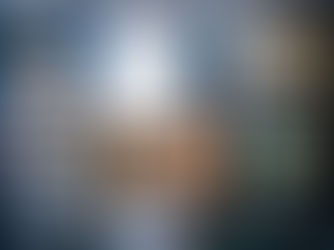 스위스의 한 수집가 - @this_is_lionel