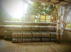 Mushroom Fruiting Bags