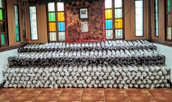 Mushroom Fruiting Bags