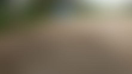 ブルペン改修