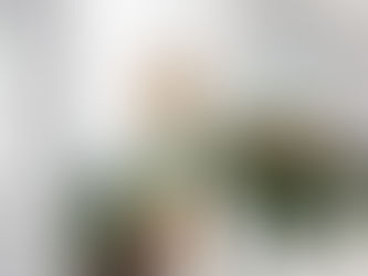 KNX Matter Server - Elsner.