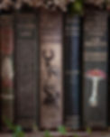 2bb6334b8f70f0db2a834a5e26bf57fb.jpg