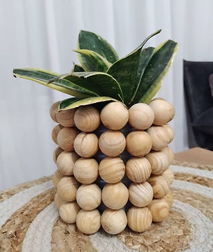 WhatsApp Image 2024-03-04 at 23.00.48 (1).jpeg