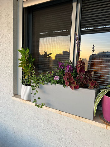 WhatsApp Image 2024-04-21 at 19.08.26.jpeg