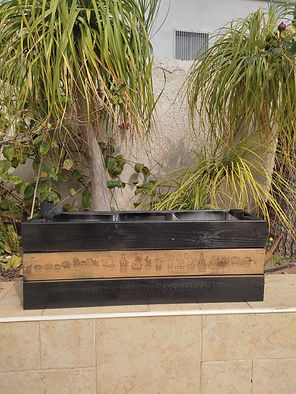 WhatsApp Image 2024-03-04 at 19.41.38.jpeg