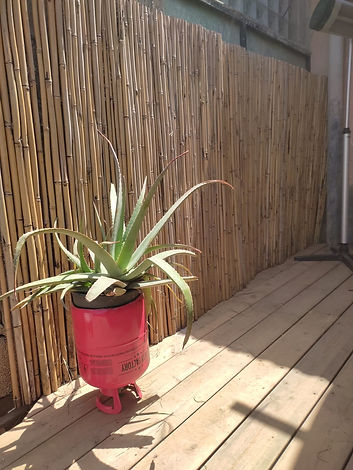 WhatsApp Image 2024-04-08 at 23.09.49.jpeg