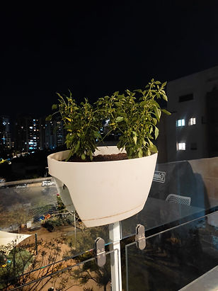 WhatsApp Image 2024-04-22 at 22.35.24 (2).jpeg