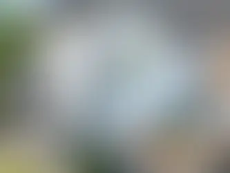 Kan en luftvärmepump kyla huset effektivt?