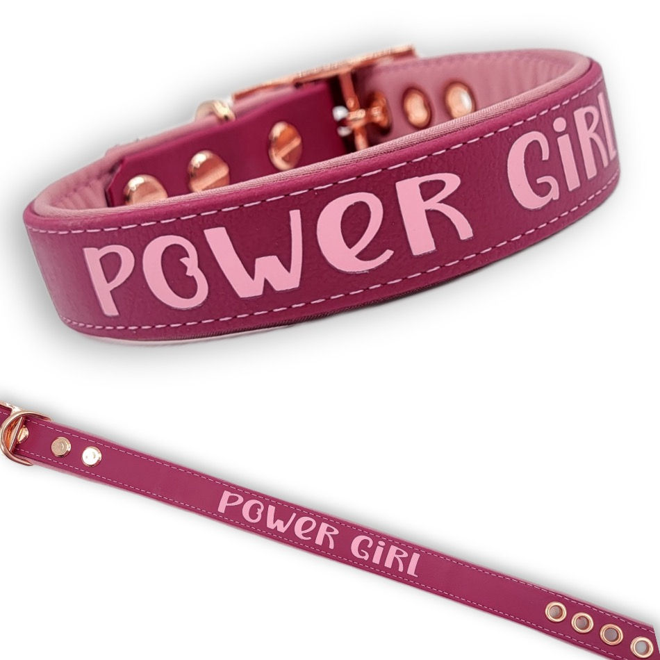 Miniaturbild: Halsband aus BioThane®