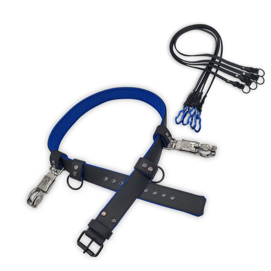 Miniaturbild: Gassigürtel