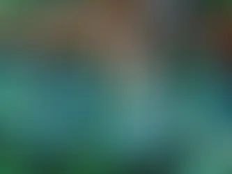 Homa Organic Farming 