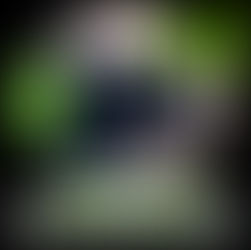 PEDRO [TIKTOK TRENDS] (Warm Up)