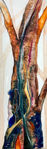 Scribbly Gum