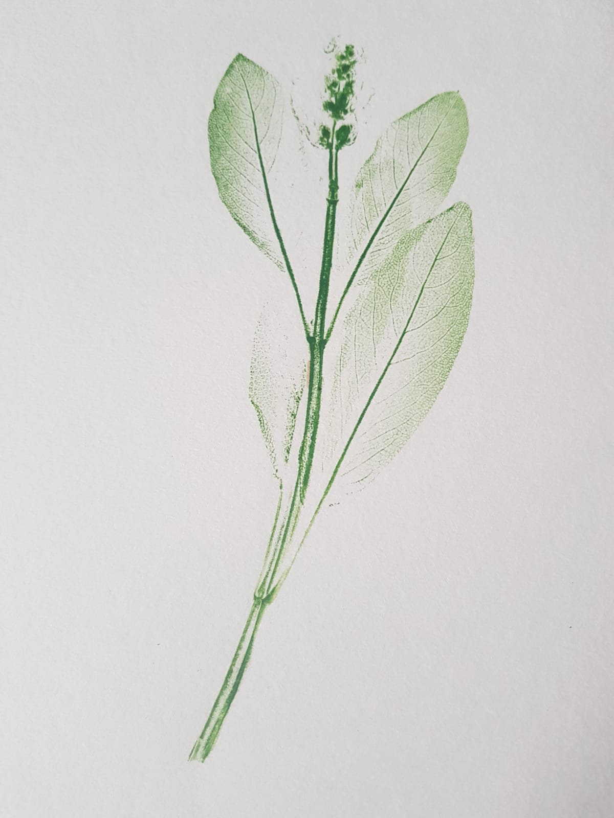 I'll Bring You Flowers