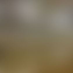 Huron Valley Lutheran North High School