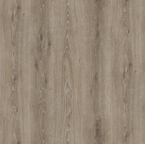 DESERT OAK