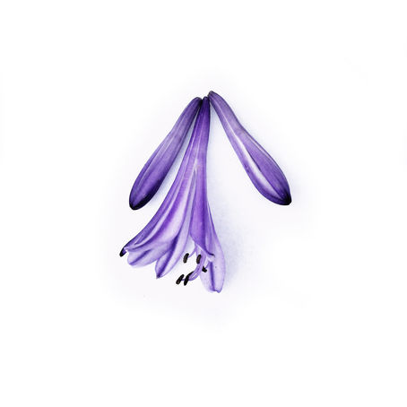 In Love & Light vol III releases