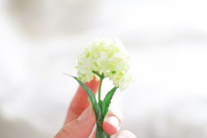 自然の神秘イメージ