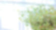 5130488_s_edited_edited_edited_edited_edited.jpg