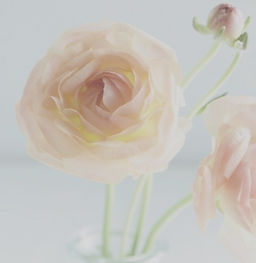 119afb24a72fef2cc2835ba18903f3a1_s_edite