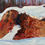 Miniature : acrylic painting of snow wrapped around textured rocks by Canadian landscape painter Holly Friesen