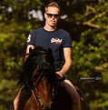 Toontje de Voer paard.jpg
