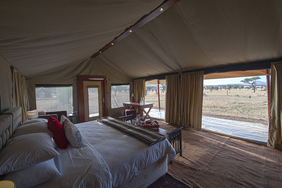 Nimali_Serengeti_13