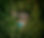 pexels-gerritt-tisdale-903028.jpeg