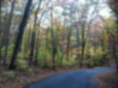 Fall Road Horizontal.jpeg