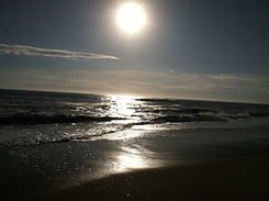 IMG_0104.jpeg