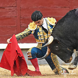 Pablo Aguado©philippelatour