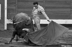 Enrique Ponce ©philippelatour