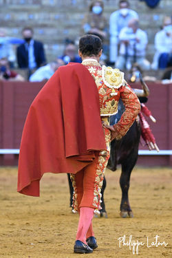 A l'ancienne ©philippelatour